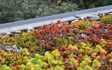 the cost of Lostock Gralam green roof installation