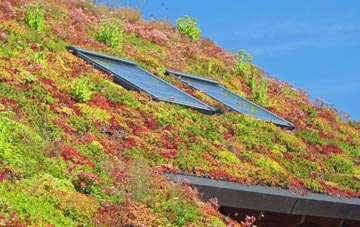 Lostock Gralam living roof systems
