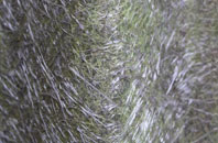 Lostock Gralam fibreglass roof work